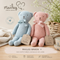 🧸 Maileg Bär – Dänisches Kuscheltier mit Schleife
Ein kleiner Freund fürs Leben. 💙🩷