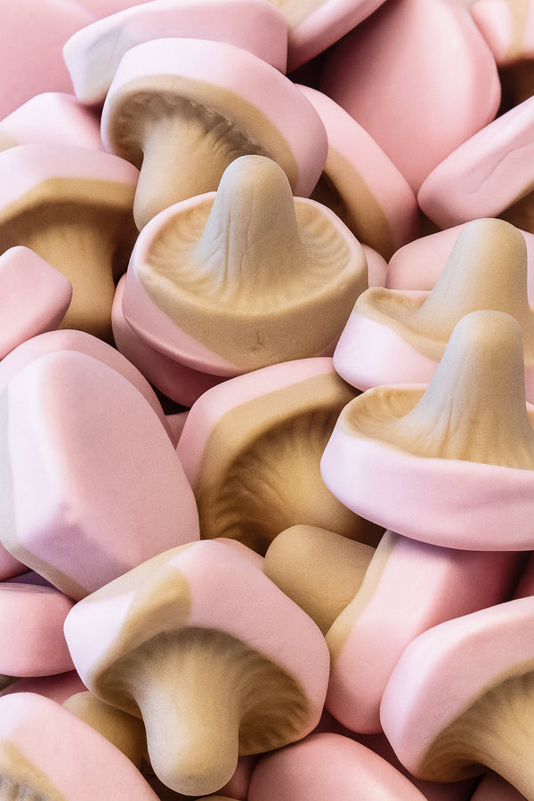 🇸🇪 Veilchen Lakritz Pilze