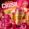 Halmstad Crush Series – Hallon & Gurka (Himbeere & Gurke) 2,2 % Vol. 🇸🇪