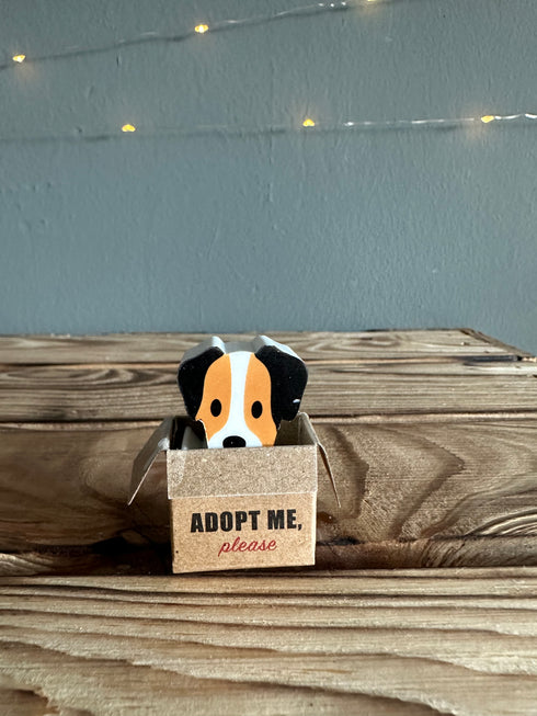 Radiergummi Hund im Karton Braun Weiß