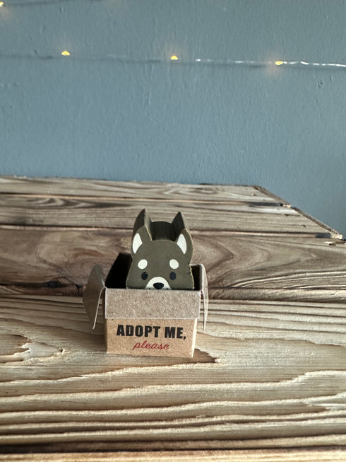 Radiergummi Hund im Karton Braun