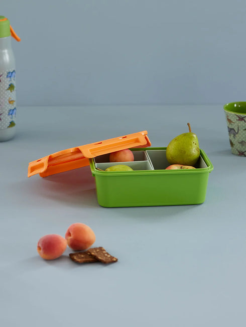 🇩🇰 Brotdose Grün Orange