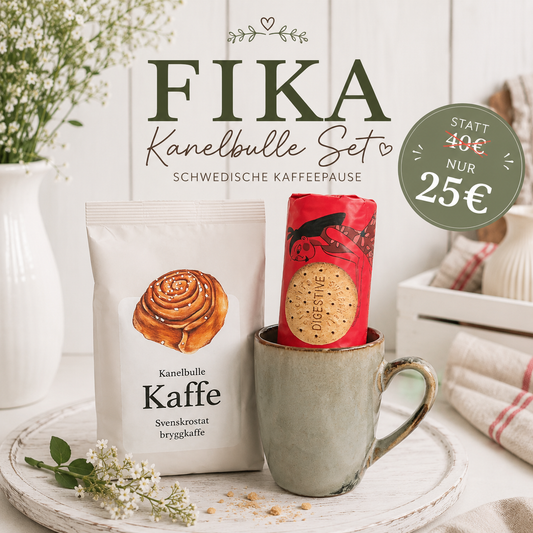 🇸🇪 FIKA KANELBULLE SET ☕🤎